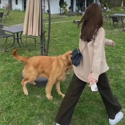 奔赴星辰的我们